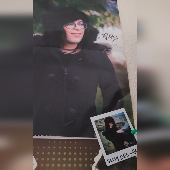 Signed Destery Smith posters and polaroids - Picture 4 of 4